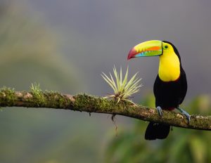 costa-rica